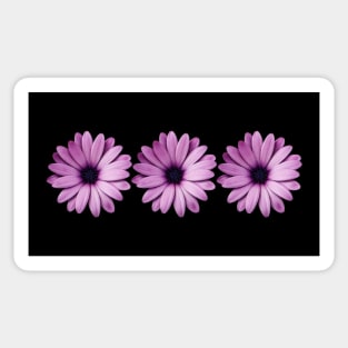 Triple Purple Flower Sticker